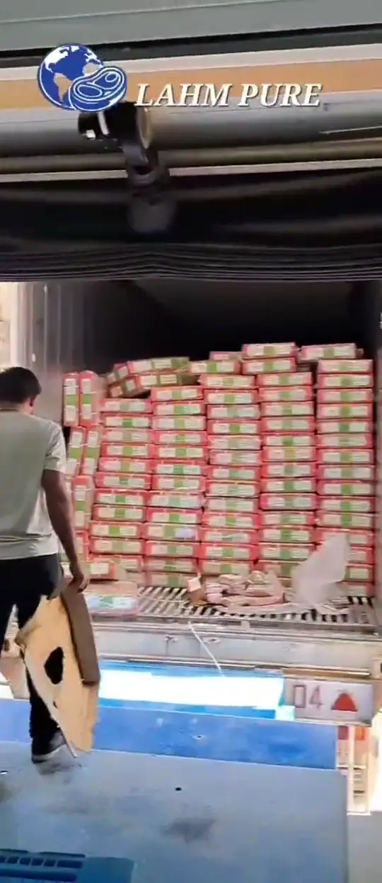 Frozen halal meat cartons stacked inside a reefer container at the LAHM PURE Dubai warehouse